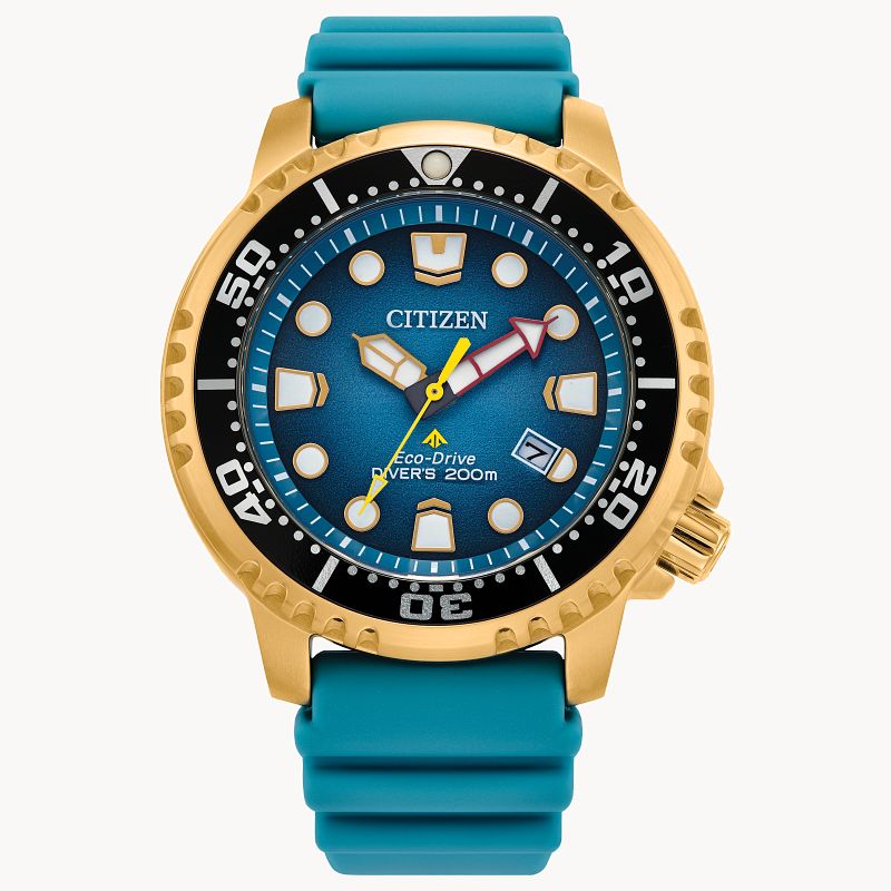 Citizen blue top diver watch